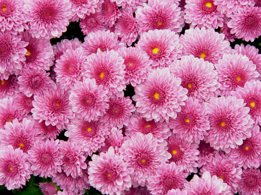 614941 (a): :1600x1200